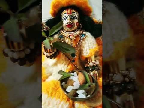 आप सभी पर भगवान की कृपा बनी रहे#love #krishna #srihari #youtube #viralvideo #short