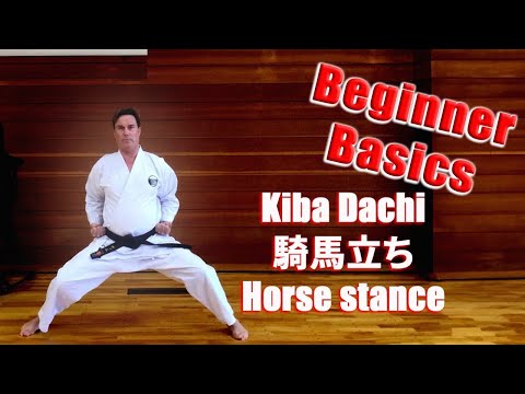 Kiba Dachi/Horse Stance Basics