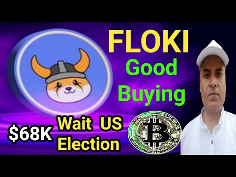 FLOKI INU  Good Buying Range || BTC $68000  Wait US Election Results || Crazy Crypto Mintoo