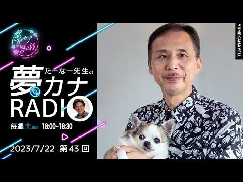 第43回・たーなー先生の夢カナRADIO（ジャンル別 事務局長ピックアップ5選）