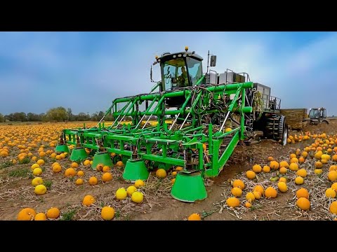 Amazing Agriculture Machines Operating At An INSANE LEVEL #2