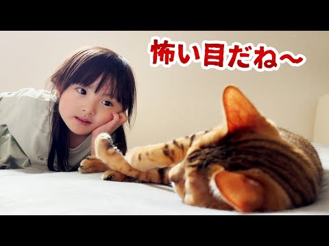 くつろぐ元噛みつき猫にちょっかいを出したい親子。謎のゲーム「豚の丸焼き」を説明する5歳娘