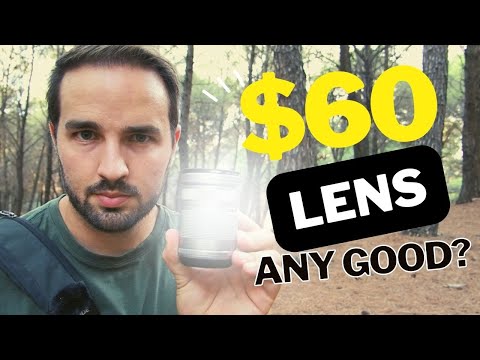 Can the Olympus 40-150 f4-5.6 Be Any Good for $60? - Review