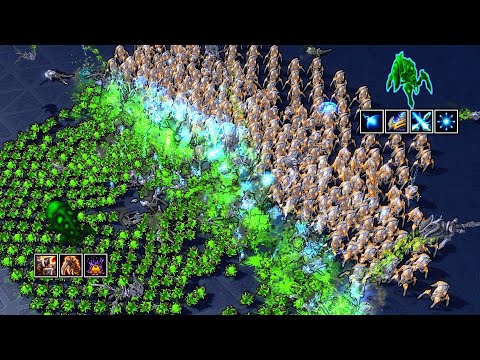 700 Banelings. 300 Stalkers. Who survives? 【Daily StarCraft Brawl】