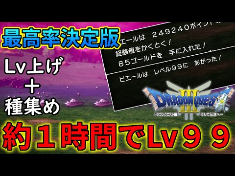 【ドラクエ３リメイク】約１時間でレベル９９＋木の実約３０が集まる最高率のレベ上げ解説【ゆっくり】