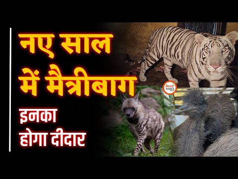 New Year में Maitribag में क्या-क्या देखेंगे| White Tiger के साथ-साथ भालू| Khushwant| 2025