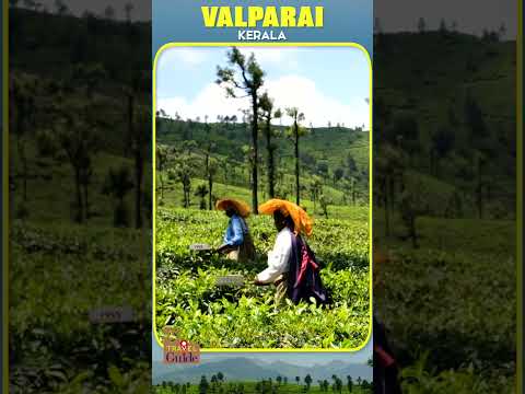 Valparai Travel Video #shorts #mmtravelguide