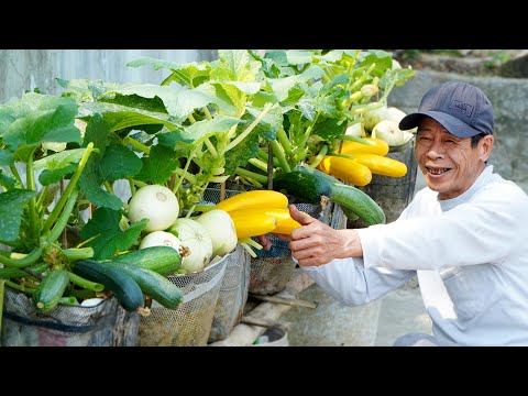 The Most Effective Secret To Growing Zucchini At Home Without A Garden!