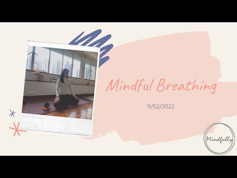 【Mindfulness Series】Mindful Breathing (15mins)