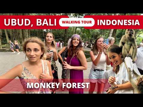 EXPLORE UBUD BALI TODAY 🇮🇩 Beautiful MONKEY Forest WALK 4k | Indonesia 2024 Travel Vlog