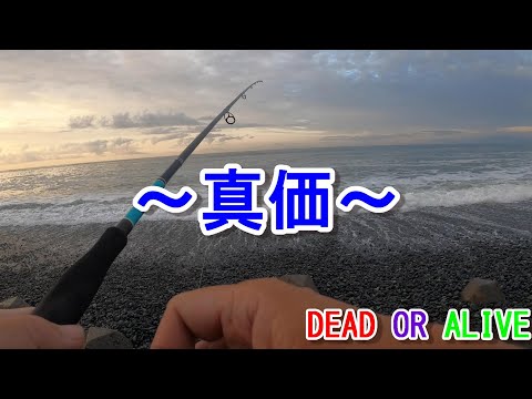 【３日目】釣った魚しか食べれない３日間