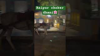 Raipur choker dhani#viral #raipurian @Bindasnupur #shortsvideo #howtoviralshortvideo