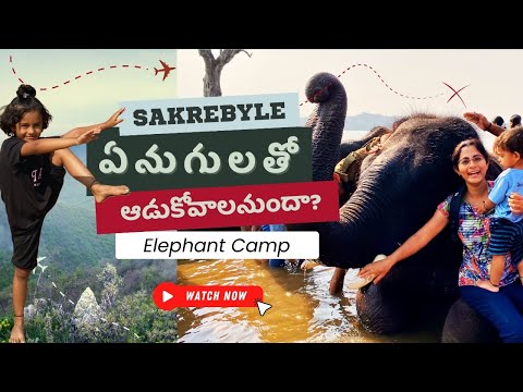 Sakrebailu Elephant Camp | Elephants Bathing Spot | Sakrebyle Elephant Camp in Telugu