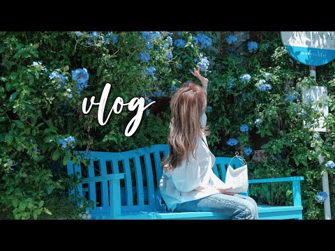 VLOG#59｜记得在花开的季节去大理｜写给三十岁的自己｜古城菜市｜好吃的云南私房菜