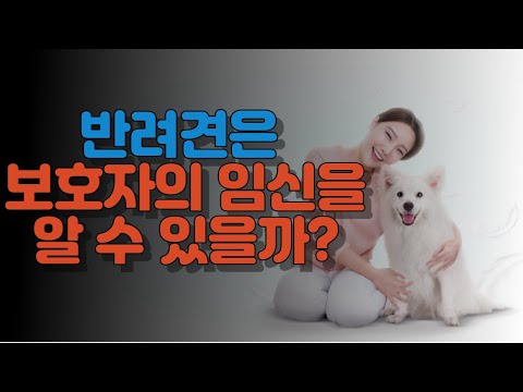 반려견은 보호자의 임신을 알 수 있을까?