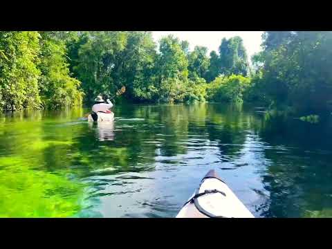 Kayaking at Weeki Wachee Springs - Calm Waters