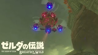 【ゼル伝探訪録】のんびり楽しむゼルダの世界【ゼルダの伝説 ブレスオブザワイルド】#18