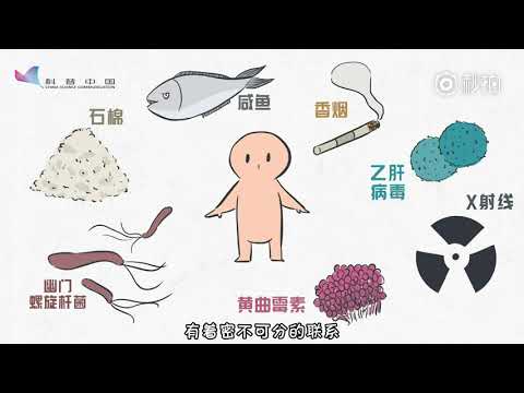 5分钟速读《众病之王：癌症传》