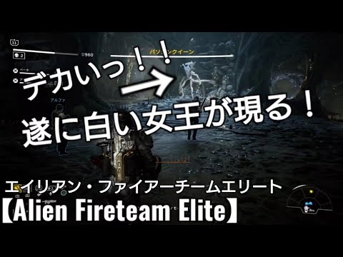 ド迫力の白い女王エイリアンのモンスターパソジンクイーン遂に現る【エイリアンファイアーチームエリート】Alien Fireteam Elite