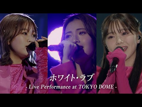 iScream「ホワイト・ラブ」Live Performance Video at TOKYO DOME