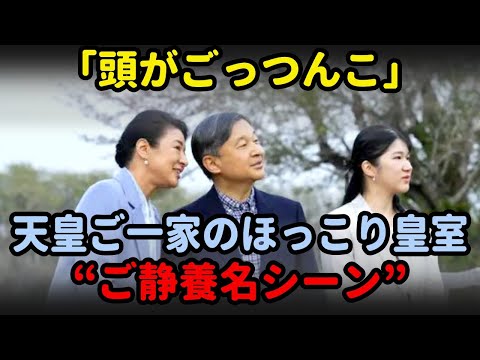 【海外の反応】「頭がごっつんこ」愛子様と天皇ご一家のほっこり皇室“ご静養名シーン”