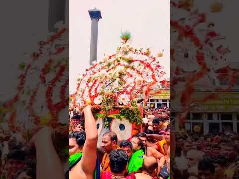 The Living God and His Festival• Jai Jagannath • Puri Ratha Yatra #puri #rathayatra #jagannathyatra