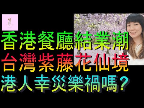 【移民台灣】台灣賞紫藤花美如仙境｜香港餐廳結業潮｜移民港人幸災樂禍嗎｜家庭式水果蛋糕🍌🥭🍰｜健康美味｜香港人在台灣｜EP178