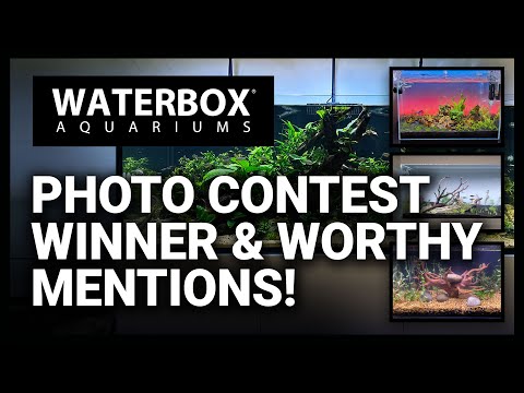 We have a winner of the "Freshwater Photo Contest"  - Episode 187