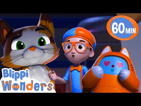 Blippi meets Kipley the Calico Cat ! | Blippi Wonders Educational Videos for Kids