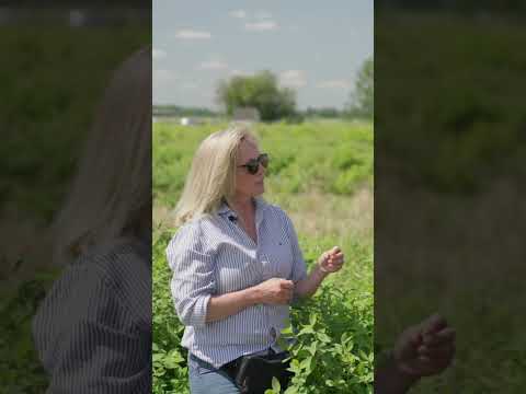 Sam Shares a Secret About Her Permaculture Haskap Berries