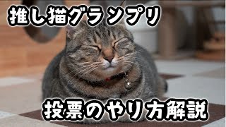 第3回＃推し猫グランプリ 投票のやり方解説