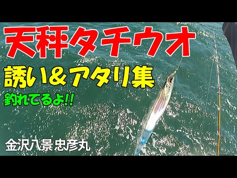 【タチウオ釣り】好調天秤タチウオ、はじめてのショート船　東京湾忠彦丸で初挑戦