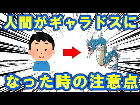 目が覚めたらギャラドスになっていた時に注意すべきこと【ポケモン解説】