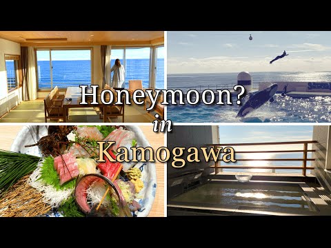 [Vlog] 2 days and 1 night at Kamogawa Grand Hotel: Rooms with open-air baths and fresh seafood