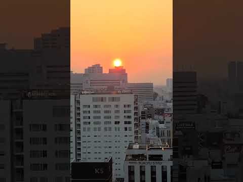 【NOWJAPAN】歌舞伎町の夕陽れ／東京都・新宿区