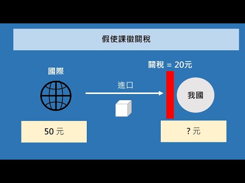 課徵進口關稅的影響? Import tariffs【經濟學學什麼】