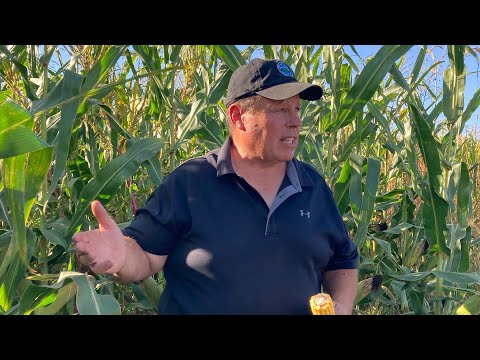 Let's Focus on Profit Per Acre: Kevin Fulton's Story