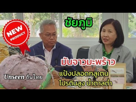 🔴 Live #มันจาวมะพร้าว ใหม่ ! #ของดีชัยภูมิ #แป้งปลอดกลูเตน #โปรตีนสูงน้ำตาลต่ำ