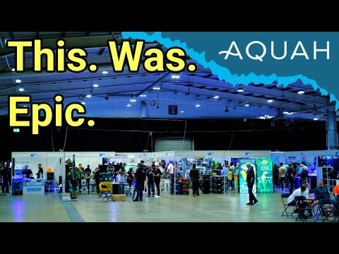 Recap of The Incredible AquaH 2024 Coral Show! The Prestige Reef Dork Show Ep 62