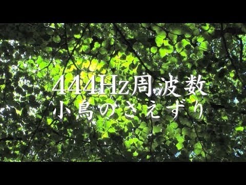 最新版444Hz+528Hz+鳥のさえずり・癌細胞を破壊しDNAを修復、免疫力向上、癒し効果！