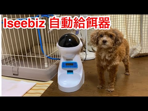 Iseebiz自動給餌器を使ってます