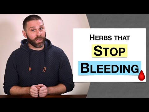 🌿 Herbology 2 Review - Herbs that Stop Bleeding (Extended Live Lecture)