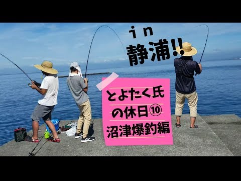 とよたく氏の休日⑩( ˘ω˘)後編　沼津で爆釣!!