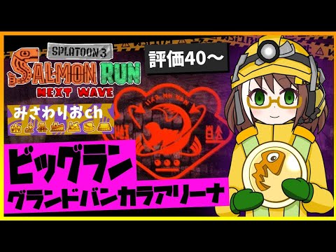 【ビッグラン】危険度MAXまで遊び尽くす最大級のビッグラン01【サーモンラン配信】