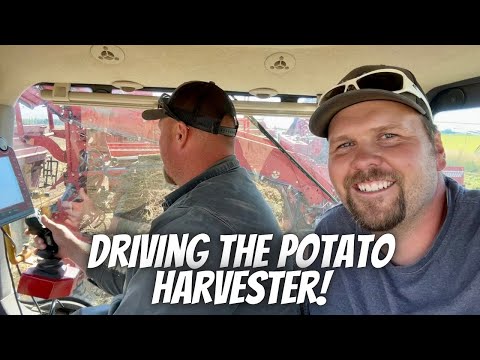 My turn to drive the potato harvester!