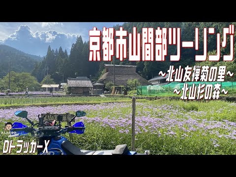 【DトラッカーX #134】モタードで行く北山友禅菊の里久多と北山杉の森・京都府道110号線 夏のマイネスイオンいっぱいツーリング【関西】【京都】【ワインディング】