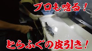 【プロも唸る！】ふぐの皮引き《1日200枚は引くんです》How to remove the puffer fish's spines