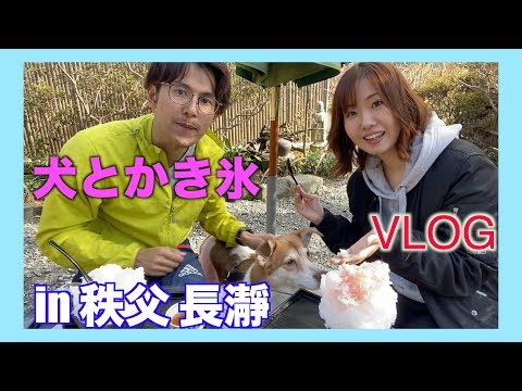 【Vlog】夫婦と愛犬で秩父を満喫！長瀞/かき氷/岩畳/ドライブ