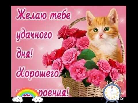 🌸С Добрым Утром! ☕🌞