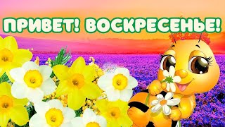 С Добрым Утром! Хорошего Воскресенья! Самое Красивое Пожелание Доброго Утра! Музыкальная Открытка!